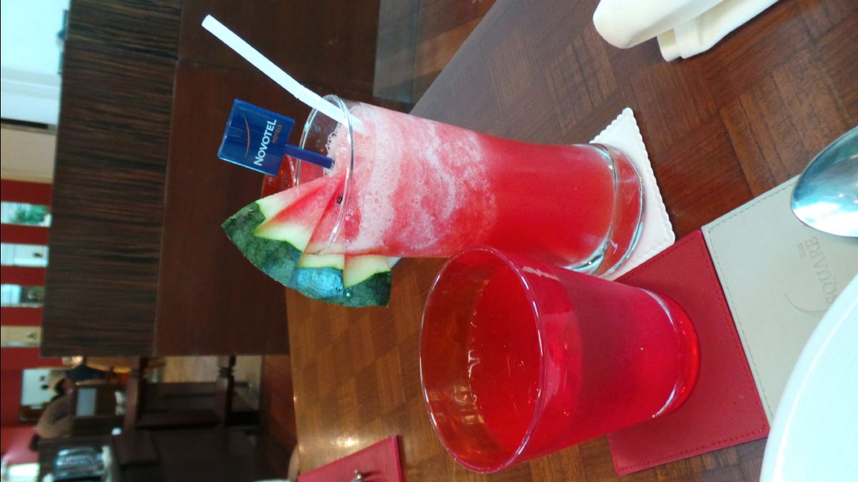 Novotel Airport Hotel02